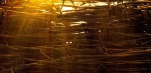 شهادت امام هادی