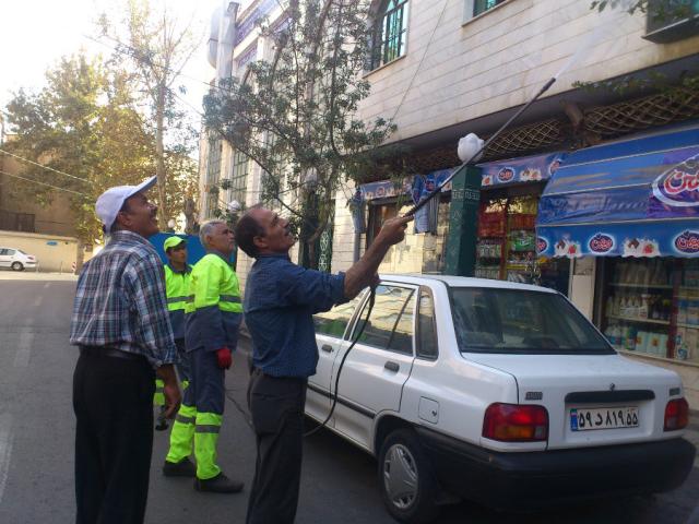 شست و شوی دیوارهای مسجد منیریه